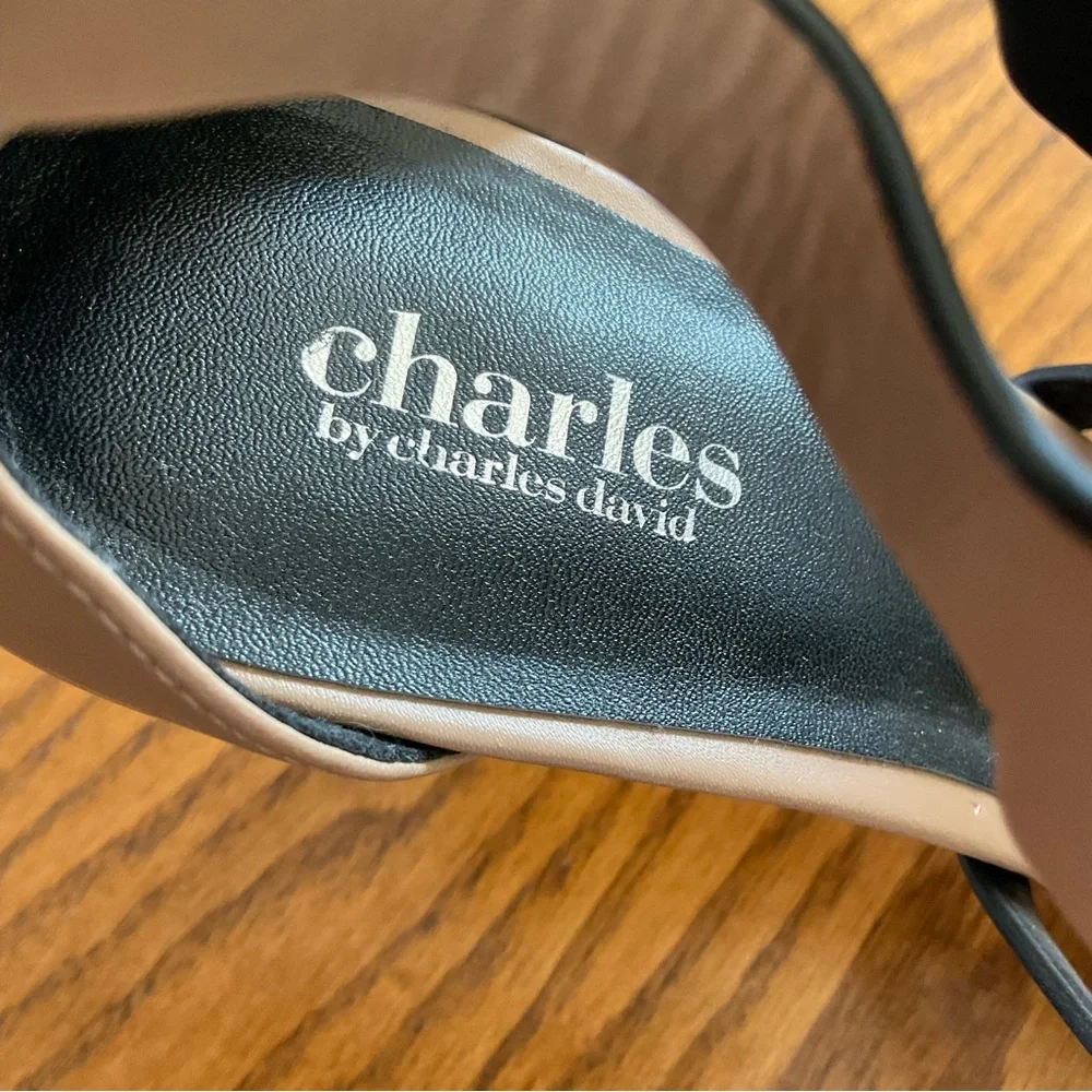 Charles by Charle’s David Heels, Women’s Sz 10